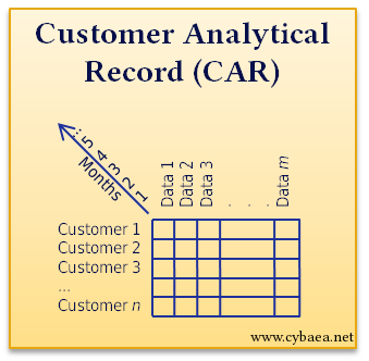 [Customer Analytical Record]